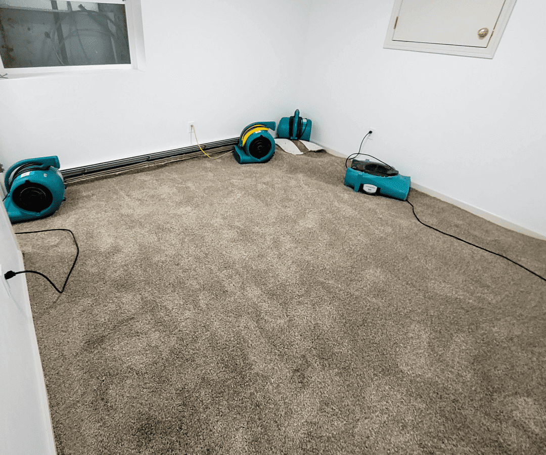 Room with carpet and drying equipment.