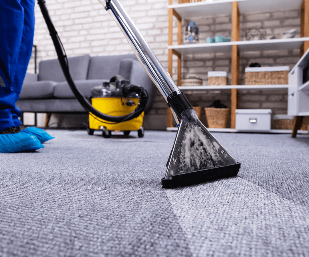 Carpet cleaning with vacuum in living room.