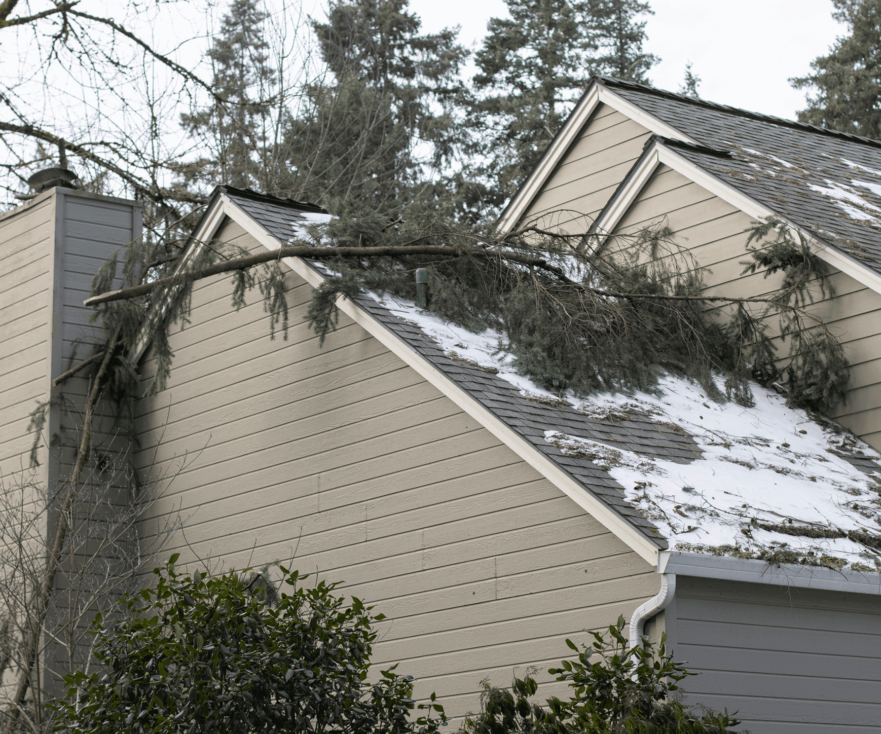 A large tree branch has fallen onto a house roof, causing damage.